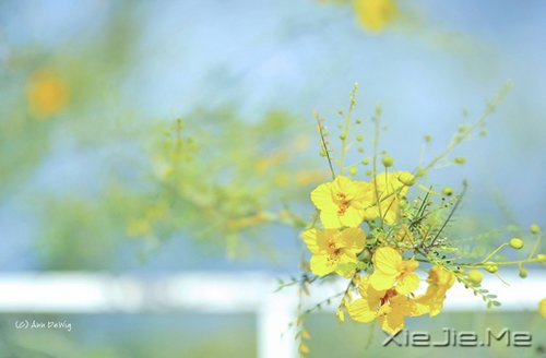 �����Լ������κ��ź� (5)