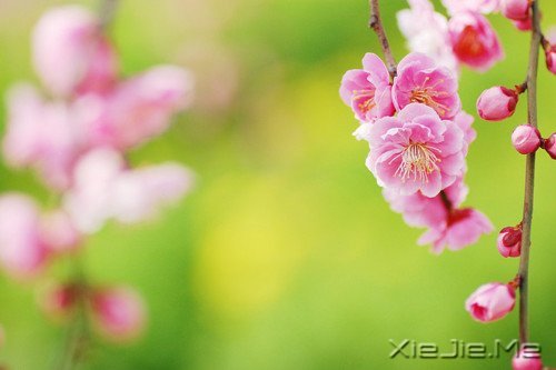 通往幸福人生的20个小贴士