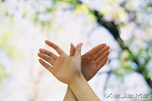 ��������Щ�᲻�õĶ���