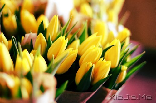 经典语录:只要适合自己,就是幸福 (14)