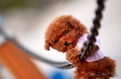 文字:为什么要设计成这样?