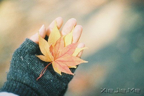 文字:这世界是你的遗嘱,而我是你唯一的遗物