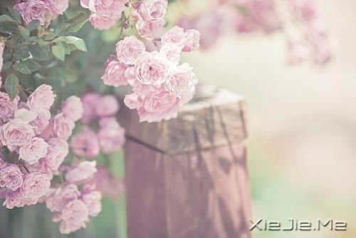 ��һ����ʱ��ı��Լ� (4)