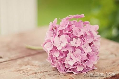 �����岻�� (2)