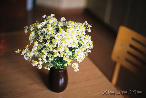 �����׺ͺܰ��� (1)